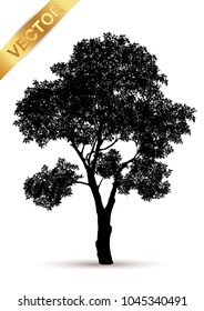 tree silhouette isolated on white background.

