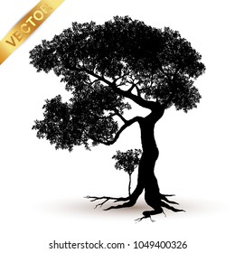 tree silhouette isolated on white background.
