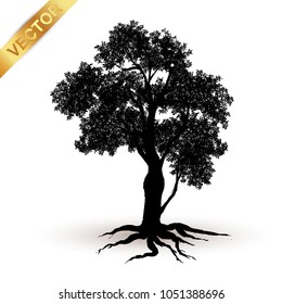 tree silhouette isolated on white background.