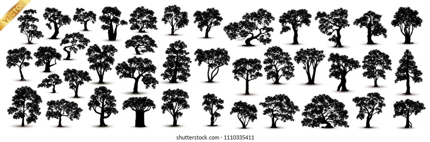 tree silhouette isolated on white background.