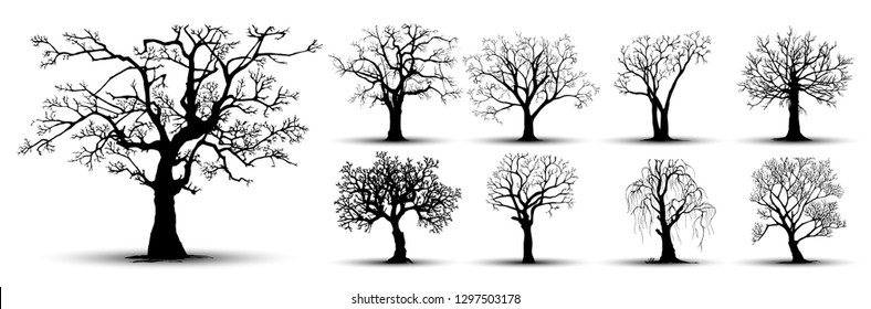 tree silhouette isolated on white background.
