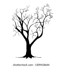 tree silhouette isolated on white background.
