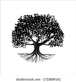 tree silhouette isolated on white background