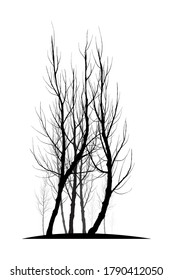 tree silhouette isolated on white background.