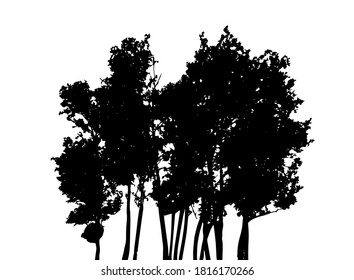 Tree Silhouette Isolated on White Backgorund. Vecrtor Illustration. EPS10