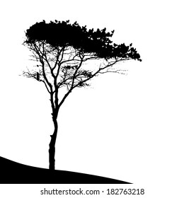 Tree Silhouette Isolated on White Backgorund. Vector Illustration