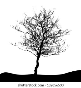 Tree Silhouette Isolated on White Backgorund. Vector Illustration