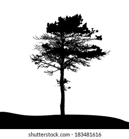 Tree Silhouette Isolated on White Backgorund. Vector Illustration