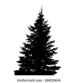 Tree Silhouette Isolated on White Backgorund. Vector Illustration
