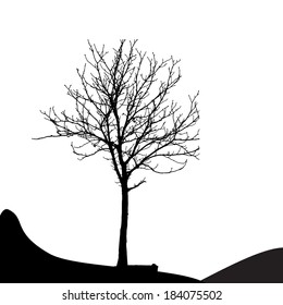 Tree Silhouette Isolated on White Backgorund. Vector Illustration
