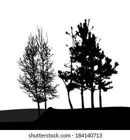 Tree Silhouette Isolated on White Backgorund. Vector Illustration