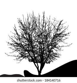 Tree Silhouette Isolated on White Backgorund. Vector Illustration