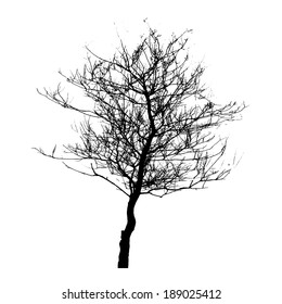 Tree Silhouette Isolated on White Backgorund. Vector Illustration