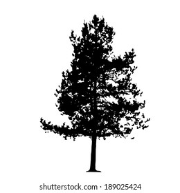 Tree Silhouette Isolated on White Backgorund. Vector Illustration