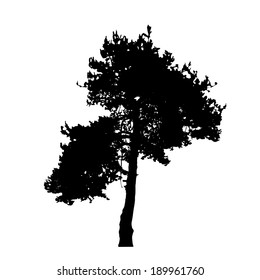 Tree Silhouette Isolated on White Backgorund. Vector Illustration