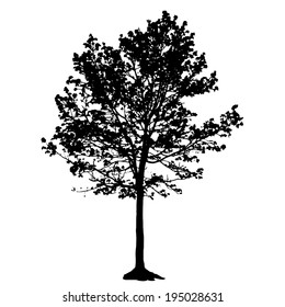 Tree Silhouette Isolated on White Backgorund. Vector Illustration