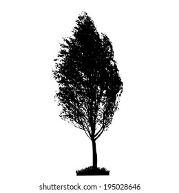 Tree Silhouette Isolated on White Backgorund. Vecrtor Illustration