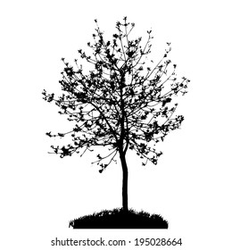 Tree Silhouette Isolated on White Backgorund. Vecrtor Illustration