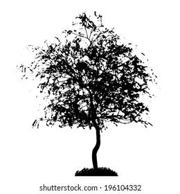 Tree Silhouette Isolated on White Backgorund. Vecrtor Illustration