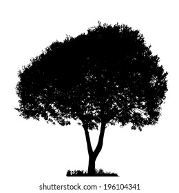 Tree Silhouette Isolated on White Backgorund. Vecrtor Illustration