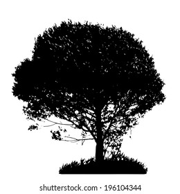 Tree Silhouette Isolated on White Backgorund. Vecrtor Illustration
