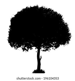 Tree Silhouette Isolated on White Backgorund. Vecrtor Illustration