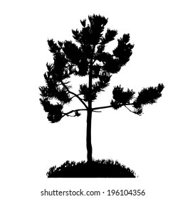 Tree Silhouette Isolated on White Backgorund. Vecrtor Illustration