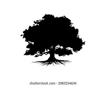 Tree silhouette isolated on white background. Tree and roots LOGO style.