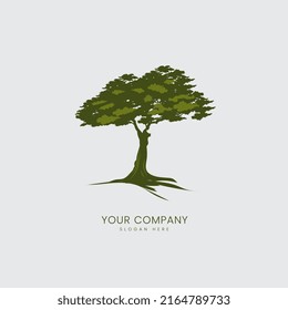 a tree silhouette isolated on white background and big tree of Oak logo vector design
