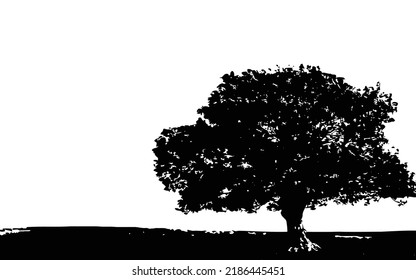 Baumsilhouette einzeln auf weißem Hintergrund.
