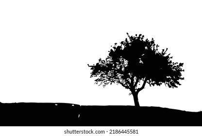 tree silhouette isolated on white background.
