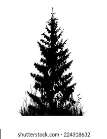 Tree Silhouette Isolated on White Backgorund. Vecrtor Illustration