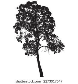 Silueta de árbol aislada sobre fondo blanco, ilustración vectorial , árbol de pong de Pong