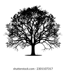 Tree Silhouette isolated on white background