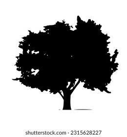 Tree silhouette isolated on white background 