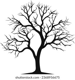Tree silhouette isolated on white background