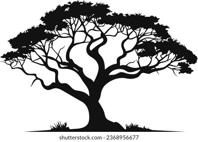 Tree silhouette isolated on white background