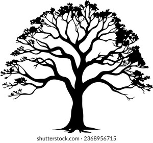 tree silhouette isolated on white background