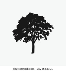 tree silhouette isolated on white background