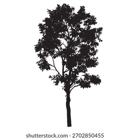Tree silhouette, isolated on white background, Vector illustration.
