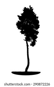 Tree Silhouette Isolated on White Backgorund. Vecrtor Illustration. EPS10