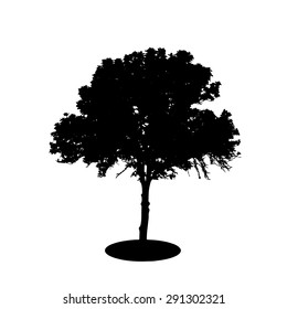 Tree Silhouette Isolated on White Backgorund. Vecrtor Illustration. EPS10