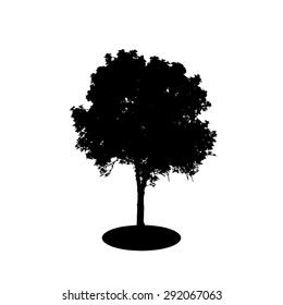 Tree Silhouette Isolated on White Backgorund. Vecrtor Illustration. EPS10