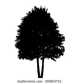 Tree silhouette Isolated on White Background. Vector Illustration. EPS10
