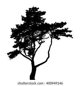 Tree Silhouette Isolated on White Background. Vector Illustration. EPS10