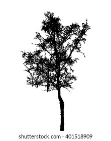 Tree Silhouette Isolated on White Background. Vector Illustration. EPS10