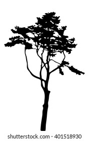 Tree Silhouette Isolated on White Background. Vector Illustration. EPS10