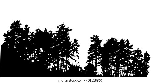 Tree Silhouette Isolated on White Background. Vector Illustration. EPS10