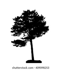 Tree Silhouette Isolated on White Background Vector Illustration. EPS10