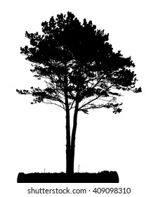 Tree Silhouette Isolated on White Background Vector Illustration. EPS10